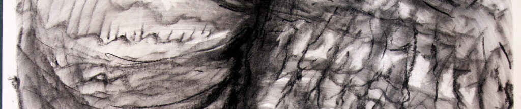 gestural marks made in charcoal on white cartridge paper, the work called stomach tic shows the abstract movements of the spine connected with tourettes